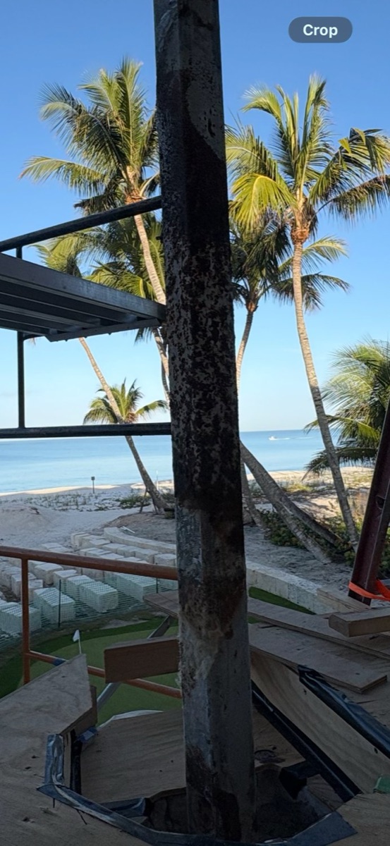 Beachfront scene with palm trees and a weathered wood piling in Southwest Florida
